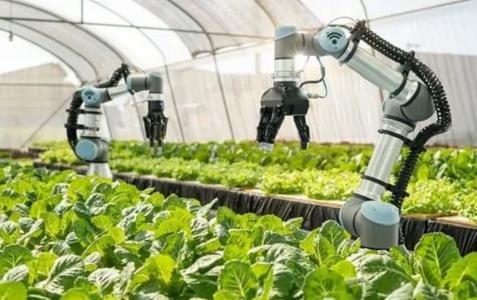 Agricultural Robots Market in Globe - Industry Outlook | Trimble, Agco Corporation, Agjunction, DJI, Boumatic Robotics