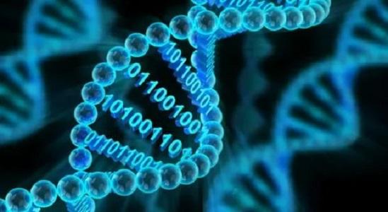 Computational Biology Market Research Report 2021 Elaborate Analysis With Growth Forecast To 2027 – Compugen Ltd, Simulation Plus