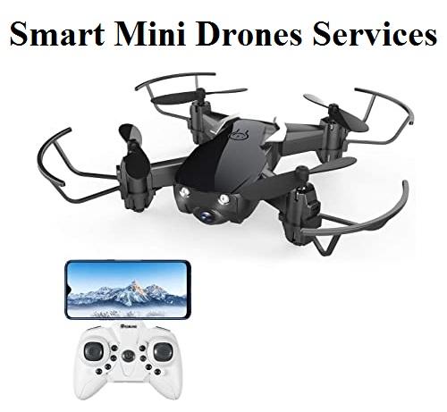 Smart Mini Drones Services Market