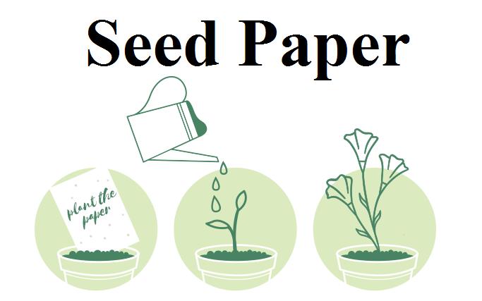 Plantable Seed Paper: A Beautiful Way to Reduce Paper Waste – Planet Blue  Ambassador