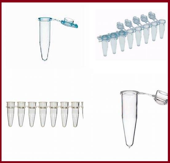 PCR Test Tubes Market - Global Industry Analysis, Size, Share, Growth, Trends and Forecast 2021-2027