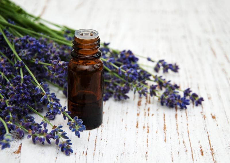 Lavender Essential Oil Extract Market Summary, Demand, Size,