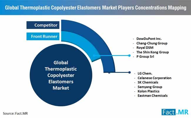Thermoplastic Copolyester Elastomers Market Rising