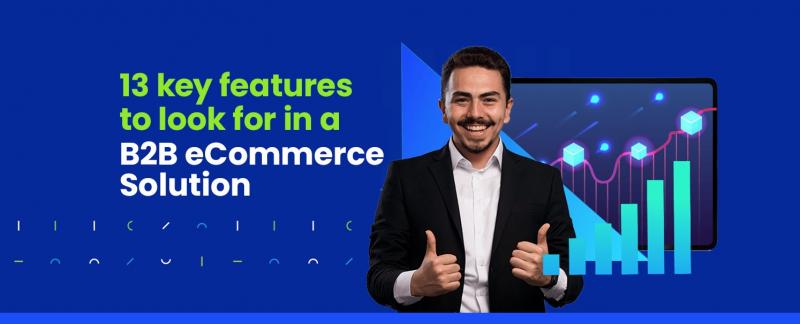 Get a in-depth look at the diverse features offered by INSYNC Commerce for Manufacturers and Distributors