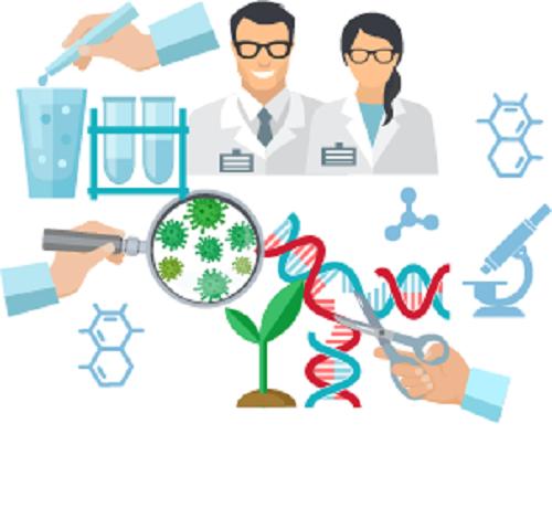 Biotechnology Market Trends 2021-2025 | Abbott Laboratories, Agilent Technologies, Amgen, Illumina, Merck, PerkinElmer
