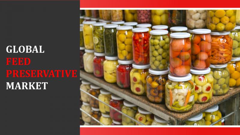 Feed Preservative Market