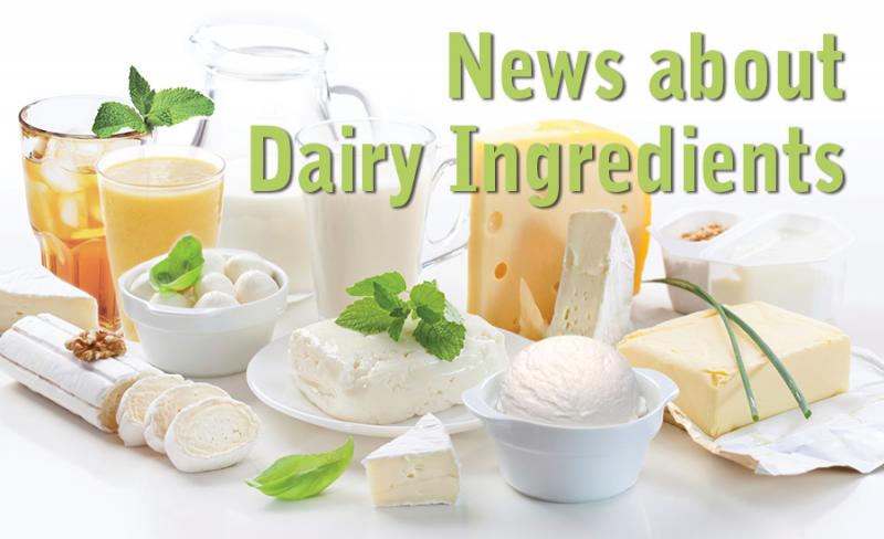 Dairy Protein Ingredients Market - Data Bridge Market Research