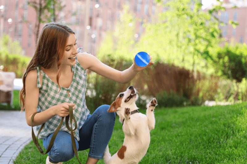 BarxBuddy Busy Ball Reviews 2021:Best Toy Ball For Dogs!