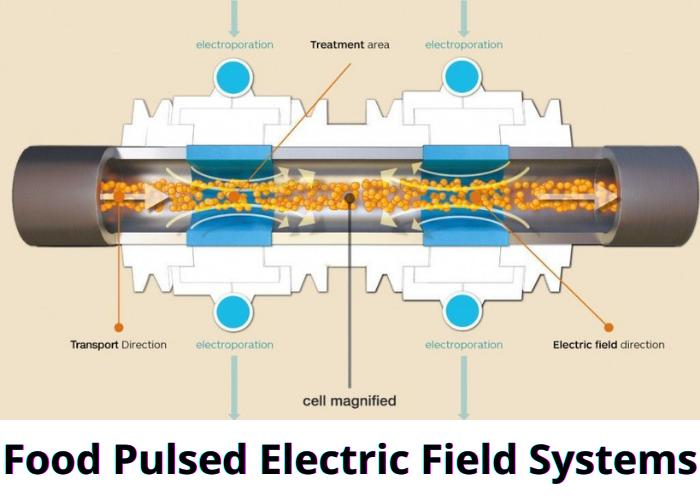 Food Pulsed Electric Field (PEF) Systems