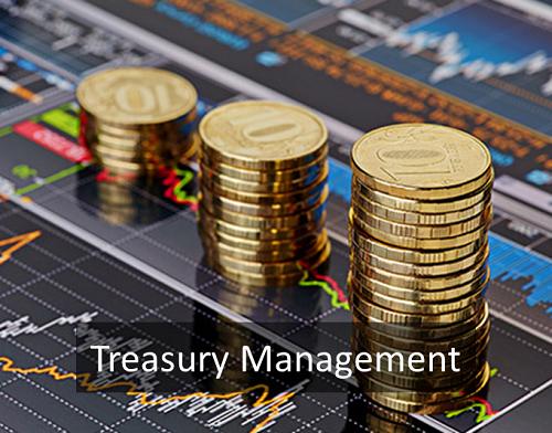 Treasury Management Software