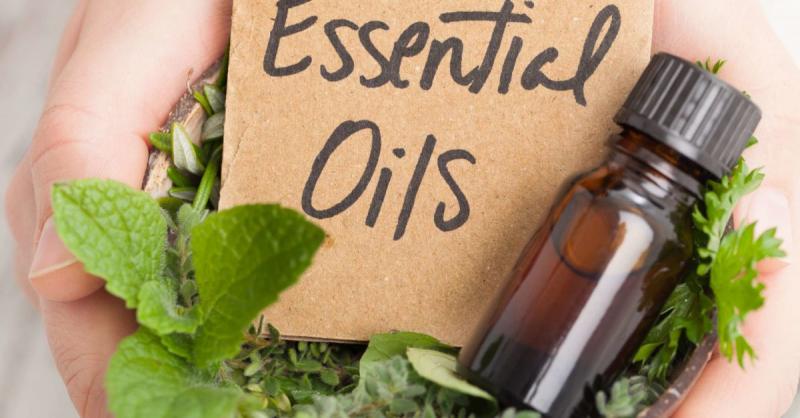 Global Mint Essential Oils Market