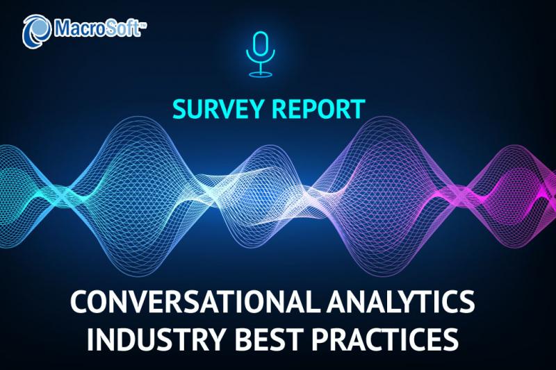 Conversational Analytics - Macrosoft Survey Report