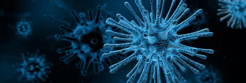 Stem Cells Market Worth USD 19.1 Bn By 2028| Cells4Life, BioTime, Cell Care, Beike Biotechnology, IPierian, Cellular Dynamics International, ArunA Biomedical