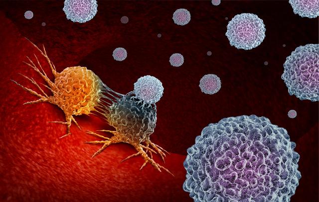 Disguised Protein May Be A New Target For Cancer Immunotherapy