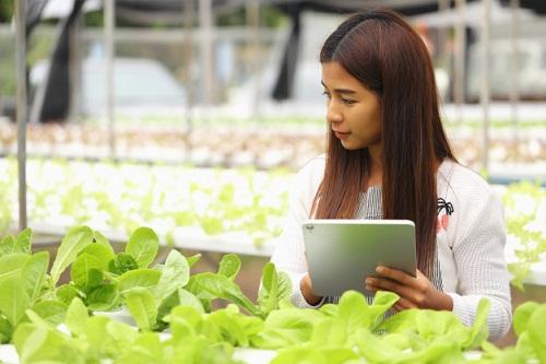 Agricultural Insurance, Agricultural Insurance Industry, Agricultural Insurance Market, Agricultural Insurance Market Forecast