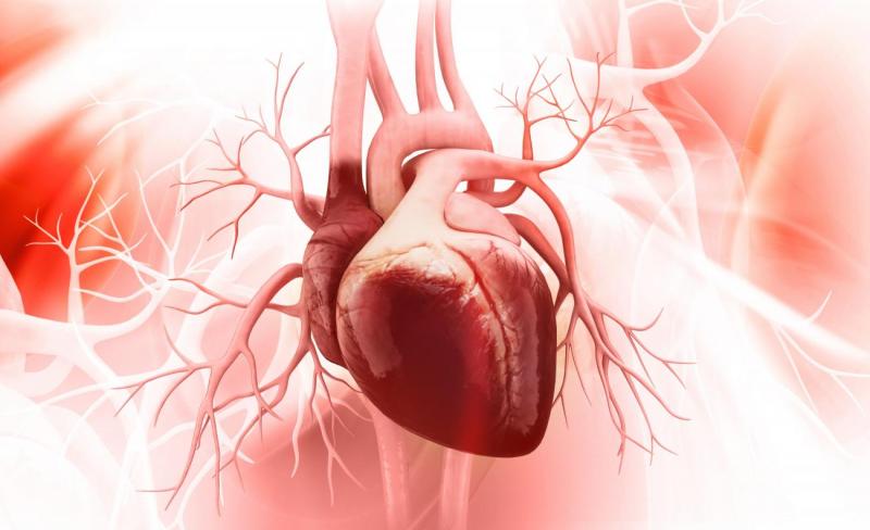 Global Cardiovascular Drugs Market