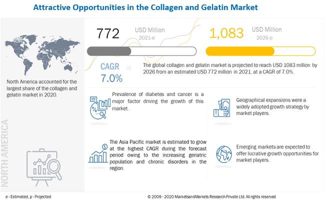 Collagen and Gelatin Market