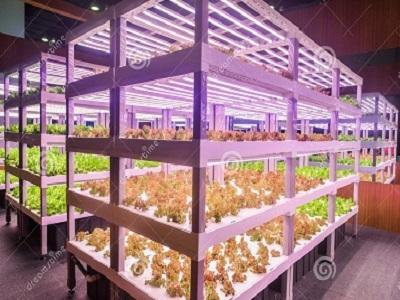 Global LED Agricultural Lighting market