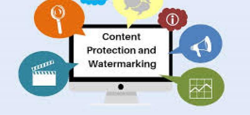 Content Protection and Watermarking Market is Going to Boom with