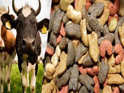 The overall Cattle Feed Additives market