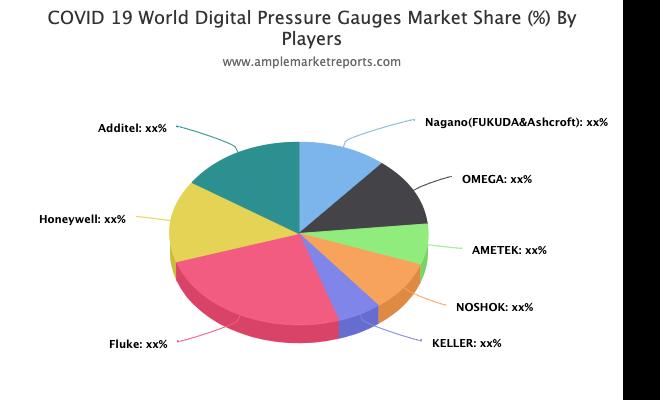 Digital Pressure Gauges market