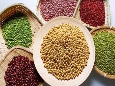 Global Seed Treatment Biological Fungicide Market