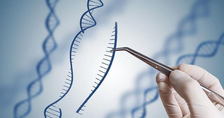 Global Digital Genome Engineering Market 2021 Type,