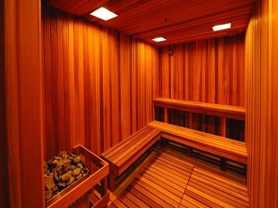 Global Sauna Room market