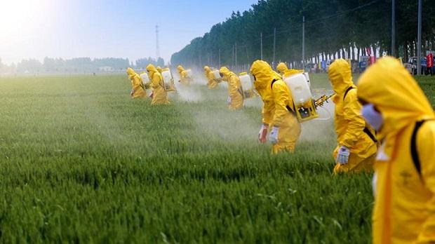 Global Pesticide and Other Agricultural Chemicals Market,