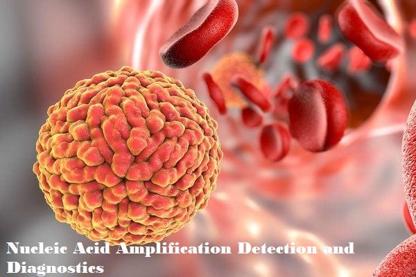 Nucleic Acid Amplification Detection and Diagnostics Market