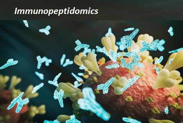 Immunopeptidomics Market