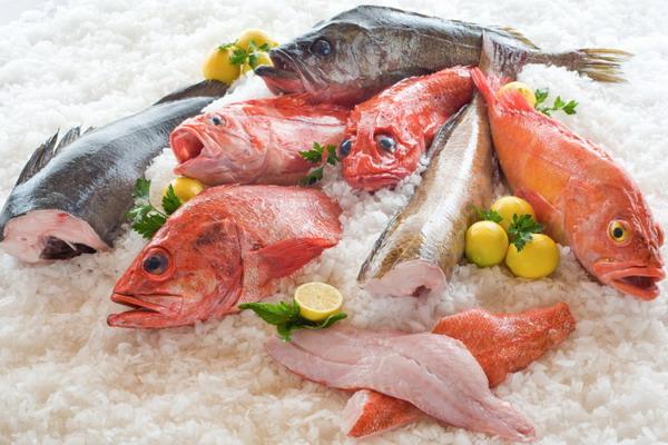 Frozen Fish and Seafood Market Future Growth Outlook 2021-2027 |
