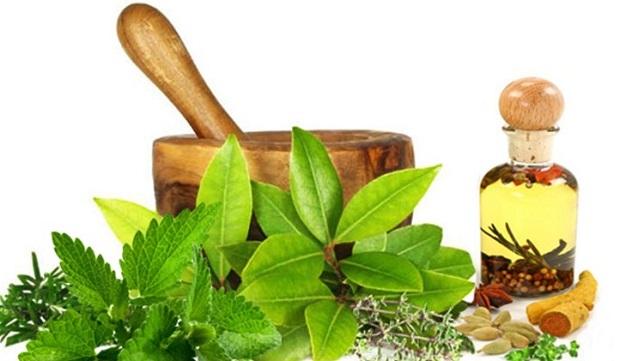 Global Herbs Market, Global Herbs Industry, Covid-19 Impact