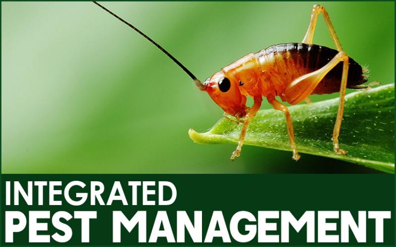 North America to dominate the Integrated Pest Management Market
