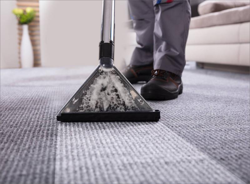 Carpet Cleaning Arlington Welcomed A New Team Member