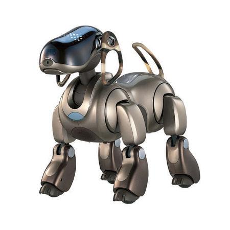 Robotic Guide Dog Market