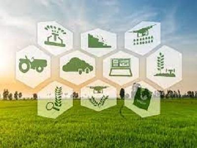 Global Blockchain in Agriculture Market By Product Type