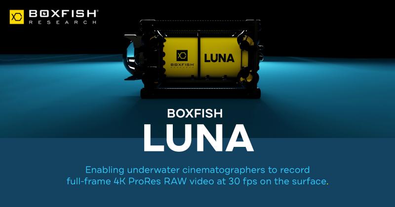 Boxfish Luna Gives Underwater Cinematographers the Creative Flexibility of ProRes RAW