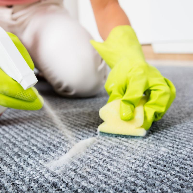 Carpet Cleaning Ashburn Welcomed New Technicians