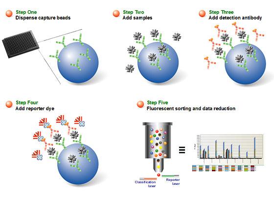 Multiplex Assay Market Trends together with Growth Forecast