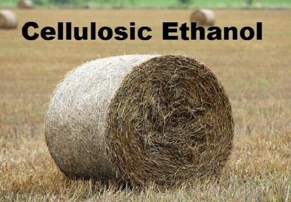 Global Cellulosic Ethanol Market, Global Cellulosic Ethanol