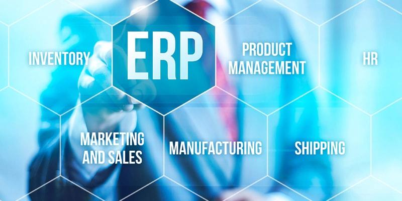 Apparel Business Management And Erp Software Market Insights