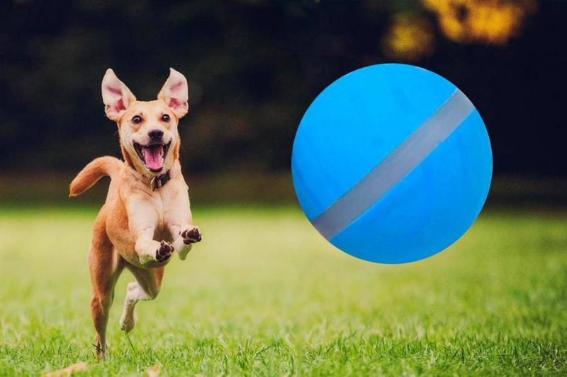 LEERUI Dog Interaction Exercise Ball Football toys Pet Peppy