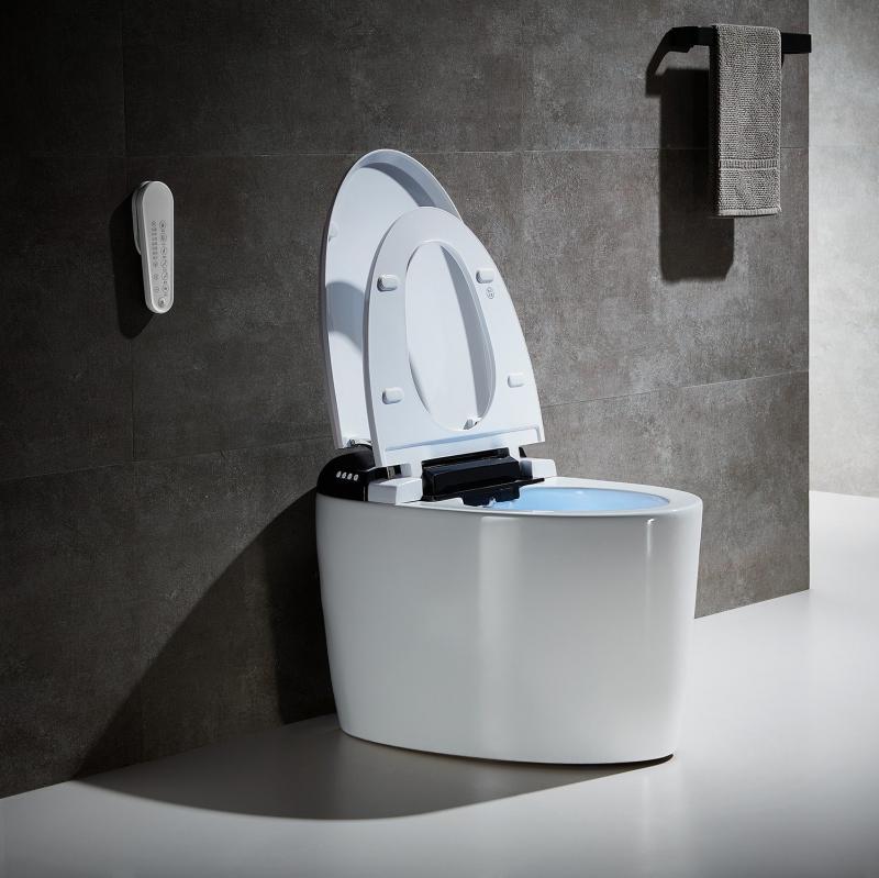 Induction Toilet