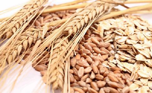 Europe Organic Wheat Derivatives Market