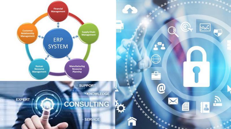 ERP System Integration and Consulting Market