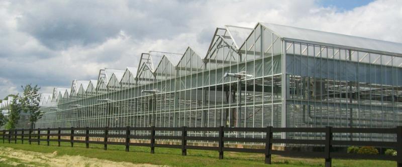 Cabrio Greenhouses