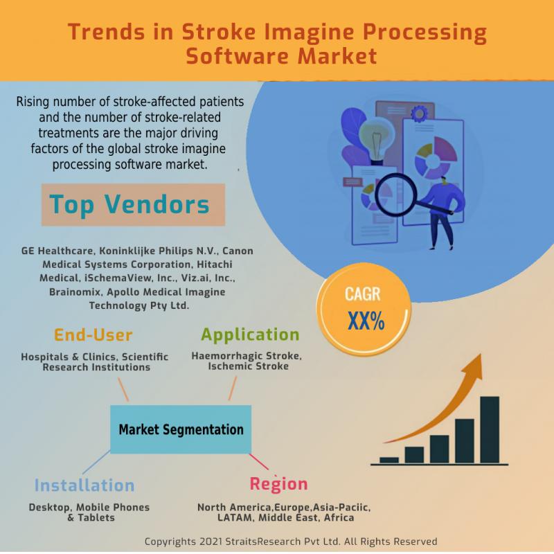 Stroke Imagine Processing Software Market