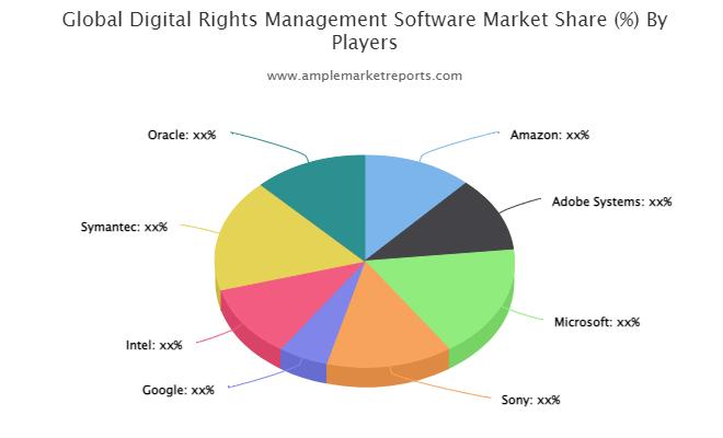 Digital Rights Management Software market