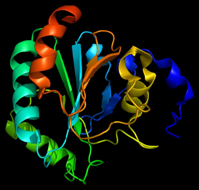 Horseradish Peroxidase (HRP) Market